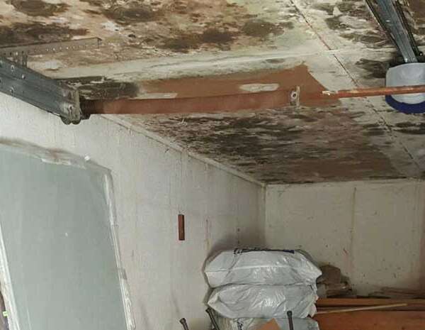 black mold in basement