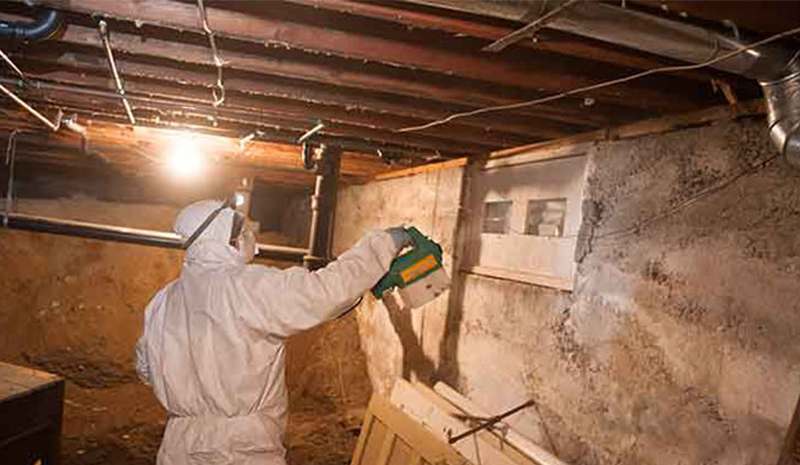 crawl space mold remediation