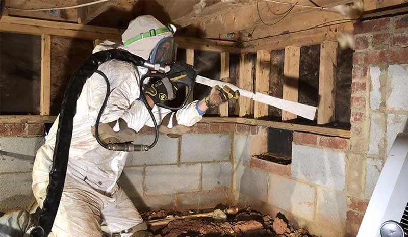 crawl space mold removal toronto