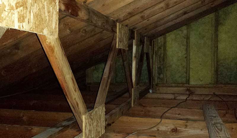 removing mold from attic