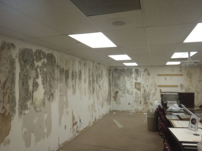 commercial mold removal toronto