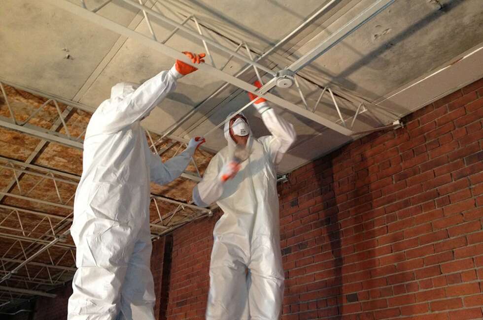 commercial mold removal company