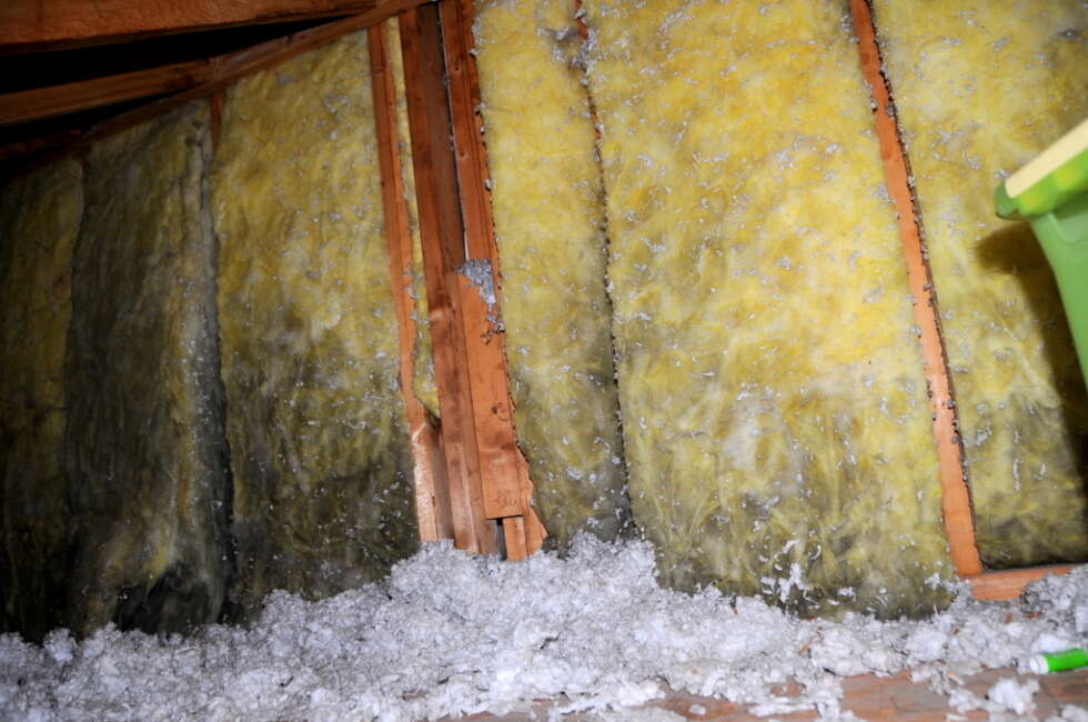 mold insulation toronto